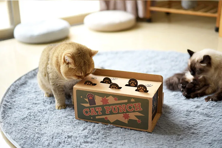 H2428f53cc4b34a3dbef013786b1d45d2S