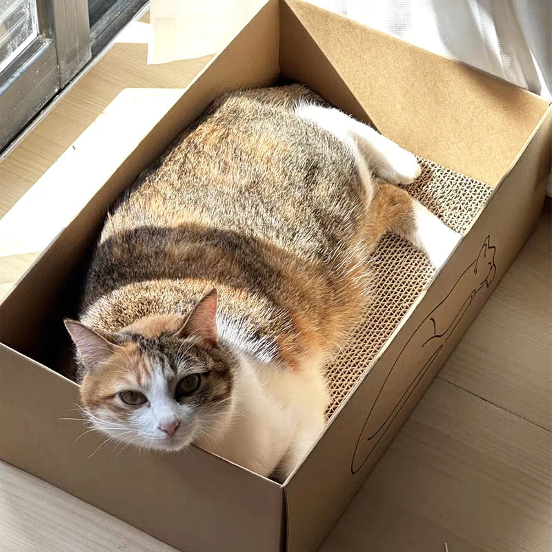 Modern Eco-Friendly Cat Scratching Board Tree Sustainable Feline Frustration Relief Scratcher Toy Paper Box Packaging Pets Beds - Image 5