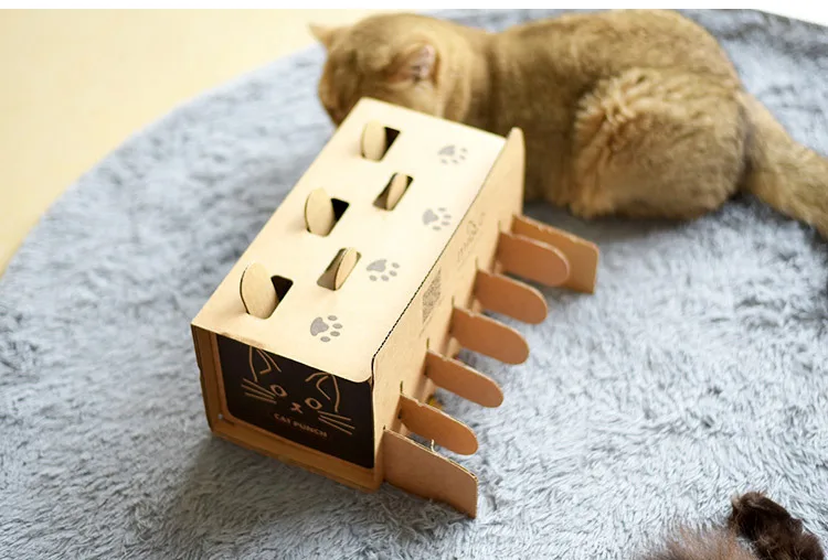 Hdad74de9729f4207a28a4634062994fd0